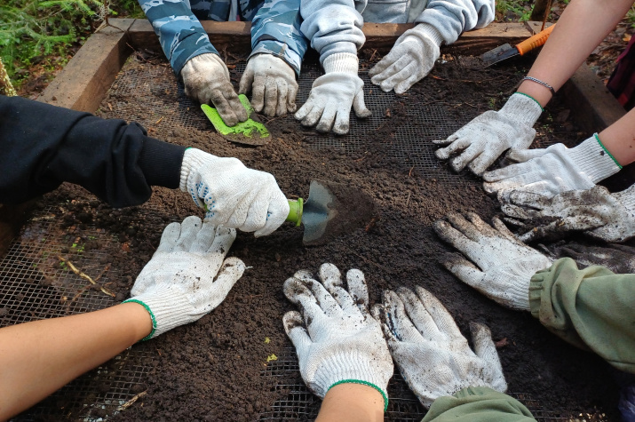 Фото: Костромская археологическая экспедиция