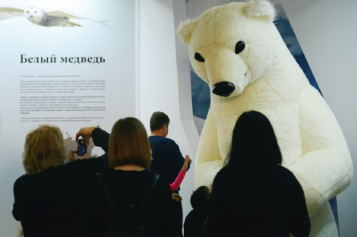 The Polar bear is greeting guests. Photo by Nikolay Razuvaev