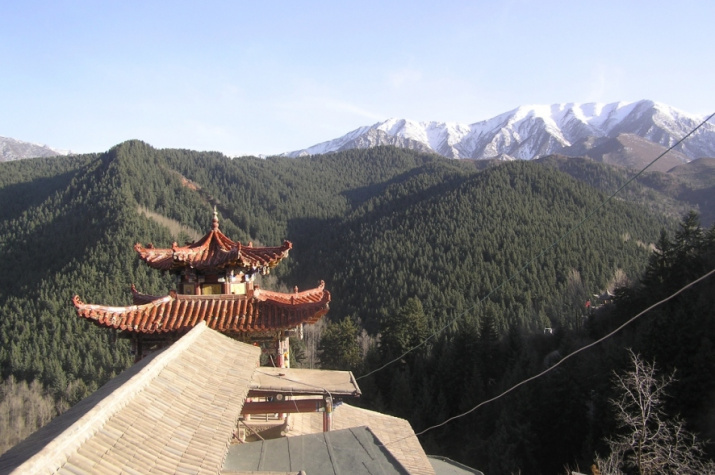 Шарзон. Фото: Андрея Стрелкова