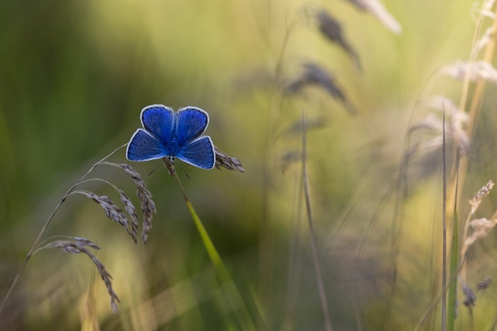 Photograph by: Tatyana Maksimova,