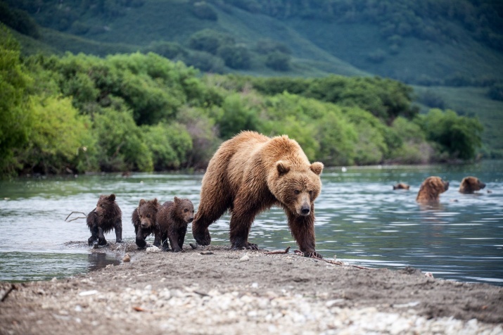 Photo by: Dmitry Khasanov