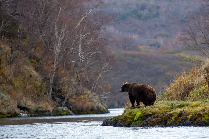 Однажды осенним утром. Фото: Константин Шатенев