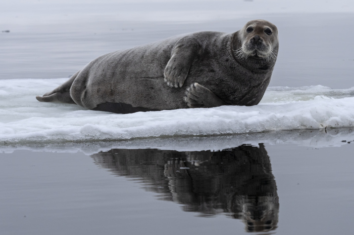 Хозяин. Фото: Галина Михоношина