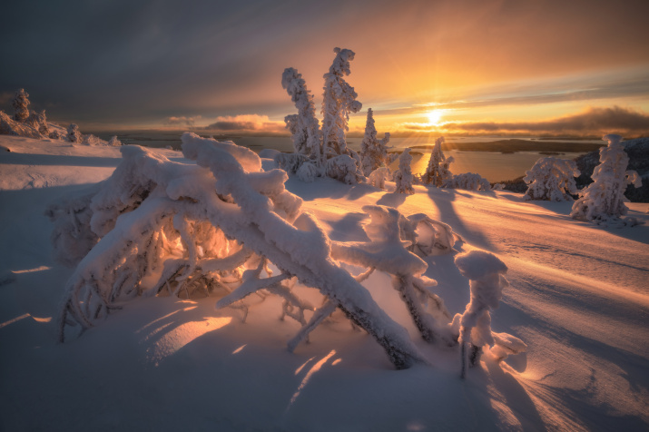 Начало зимы в Заполярье. Фото: Андрей Грачев