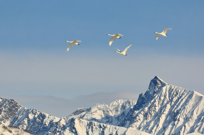 Выше гор. Фото: Светлана Кольцова