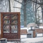 Книжный шкаф в сквере Суханова. Фото: vk.com/patprim