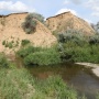 Река Чардым около села Радищево