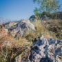 Валуны песчаника на территории памятника природы ''Оврага Зеркала''