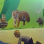 Наперегонки с амурским тигром. Фото: Николай Разуваев