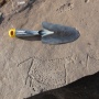 Находка могильника Итколь II: нетипичное для Алтая изображение быка. Фото предоставлено организаторами экспедиции
