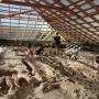 Раскопки жилища из костей мамонтов на стоянке Костенки-11. Культурный слой 1а, 20 тысяч лет назад