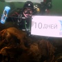 Капсула Чемпионата мира по водным видам спорта на дне Баренцева моря 