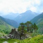 Фото: Александр Белоусов 