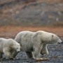 Photo by Sergey Gorshkov