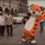 A shot from the trailer of the project "The Way of the Tiger". The materials are provided by the press service of the "Amur Tiger" Center