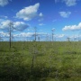 Фото Музей природы Костромской области