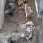 Частично мумифицированное погребение на могильнике Терезин. Фото предоставлено участниками экспедиции