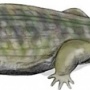 Wetlugasaurus
