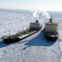 Photo is provided by the Expedition Center "Arctic"