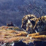 Фото с сайта национального парка "Земля леопарда" leopard-land.ru