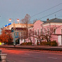 Фото М. Хаустов