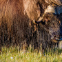 Восточный Таймыр. Фото: М. Шаповалов, В. Шут, участники фотоконкурса РГО "Самая красивая страна"