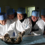 Исследования пещерного львенка Бориса. Фото предоставлено Академией наук Республики Саха (Якутия)
