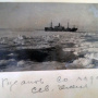 Северная Земля. Фото из личного архива семьи Водзинских