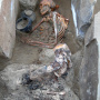 Частично мумифицированное погребение на могильнике Терезин. Фото предоставлено ИИМК РАН. Экспедиция 2018 года