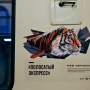 Фото предоставлено Центром "Амурский тигр"