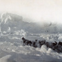 Экспедиция Циглера на 82° с. ш., март 1905 года. Фото: wikipedia.org