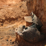Разрушенные "черными копателями" археологические находки Раннего Железного Века