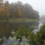 Осень в Брянском лесу. Фото: Игорь Шпиленок