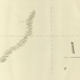 "Карта берега Александра I". Из "Атласа к путешествию капитана Беллинсгаузена в Южном Ледовитом океане и вокруг света в продолжении 1819, 1820 и 1821 годов"