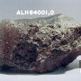 Метеорит ALH84001. Фото: сайт nasa.gov