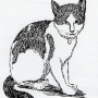 Рисованный портрет Нансена, автор Йохан Корен. Источник: wikipedia.org