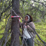 Измерение параметров деревьев на Кольском полуострове. Фото: пресс-служба геофака МГУ
