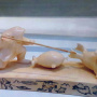 Забой тюленей.Резьба по кости. Этнографический музей. Фото: Наталья Мозилова
