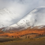 Первый снег. Фото: Юлия Назаренко 