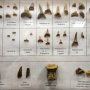Коллекция останков морской фауны мелового периода