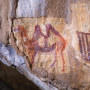 Верблюд, Капова пещера. Фото: Олег Меньков