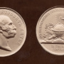 Медаль им. графа Ф.П. Литке. Фото: Научный архив РГО