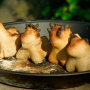 Хлебные зверьки