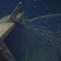Несмотря на плохую видимость под водой, исследователям удалось идентифицировать погибшие 80 лет назад суда. Фото: "Разведывательно-водолазная команда" 