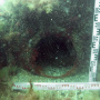 Остов и фрагменты корабля лежат на глубине шесть метров. Фото: центр "Археологические исследования" СевГУ
