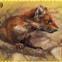 Лесная куница – обитатель сибирских и уральских лесов. Почтовая марка СССР, 1989 год