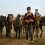 Лошади играли особую роль в жизни кочевого народа. Фото: Иван Терёхин