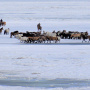 Табуны на весеннем льду. Фото п. Ноговицына