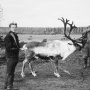 Экспедиция 1956 г. в долине р. Ирелях. На фото: справа к.г.-м.н. А.И. Ефимов – руководитель гидрогеологического отряда, слева – будущий чл.-кор. РАН В.Т. Балобаев – руководитель геотеплофизического отряда