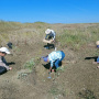 Молодые участники экспедиции на раскопе (фото Ольга Чуманова)